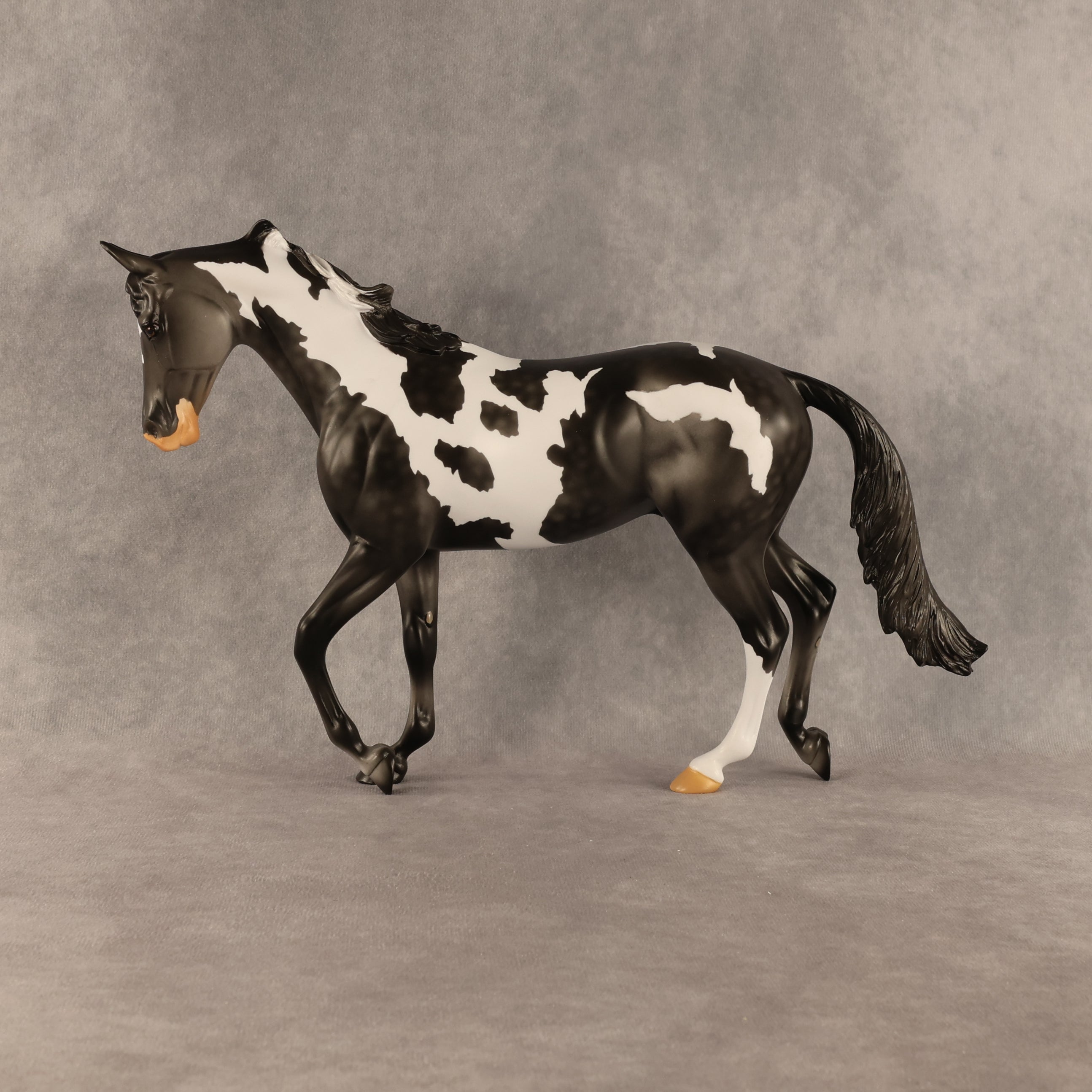 Pacifica OOAK Thoroughbred by Anna Rieck SHCF26