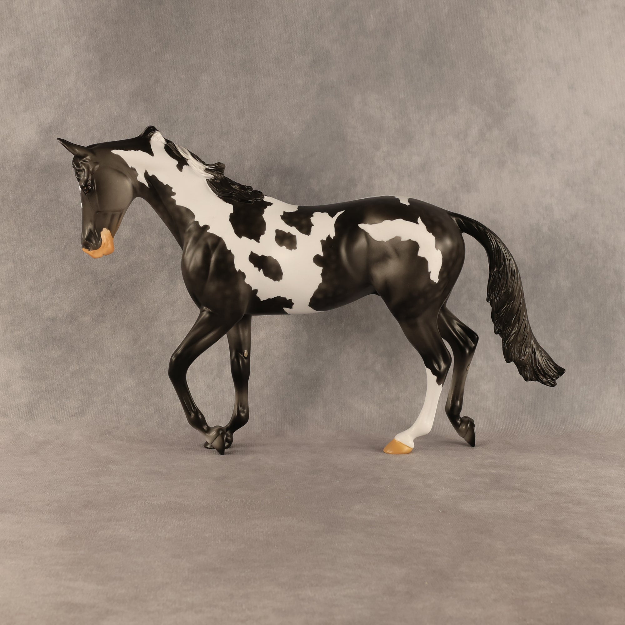 Pacifica OOAK Thoroughbred by Anna Rieck SHCF26