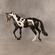 Pacifica OOAK Thoroughbred by Anna Rieck SHCF26