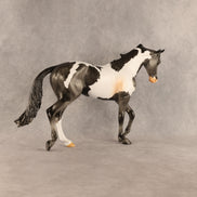 Pacifica OOAK Thoroughbred by Anna Rieck SHCF26