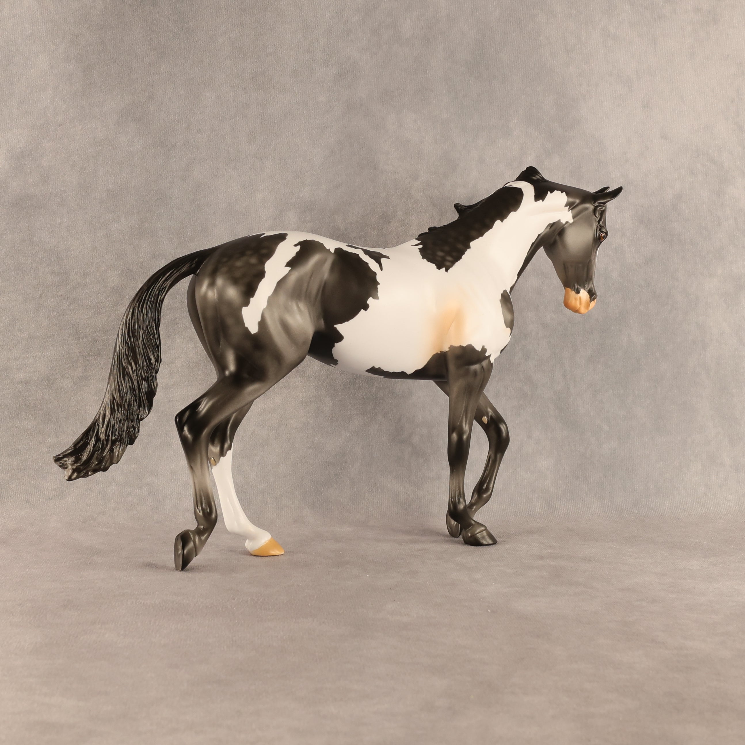 Pacifica OOAK Thoroughbred by Anna Rieck SHCF26