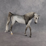 Padron My Purdy OOAK EFCM Arabian Stallion by Tiffany Purdy Best Offer 10.6.2026