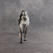 Padron My Purdy OOAK EFCM Arabian Stallion by Tiffany Purdy Best Offer 10.6.2026