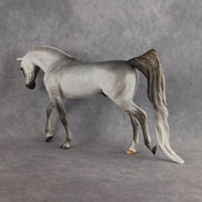 Padron My Purdy OOAK EFCM Arabian Stallion by Tiffany Purdy Best Offer 10.6.2026