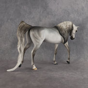 Padron My Purdy OOAK EFCM Arabian Stallion by Tiffany Purdy Best Offer 10.6.2026
