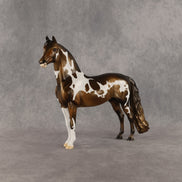 Painterly OOAK Morgan by Dawn Quick SHCF26
