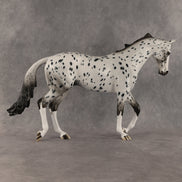 Paladin OOAK Thoroughbred by Dawn Quick SHCF26