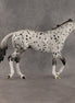 Paladin OOAK Thoroughbred by Dawn Quick SHCF26