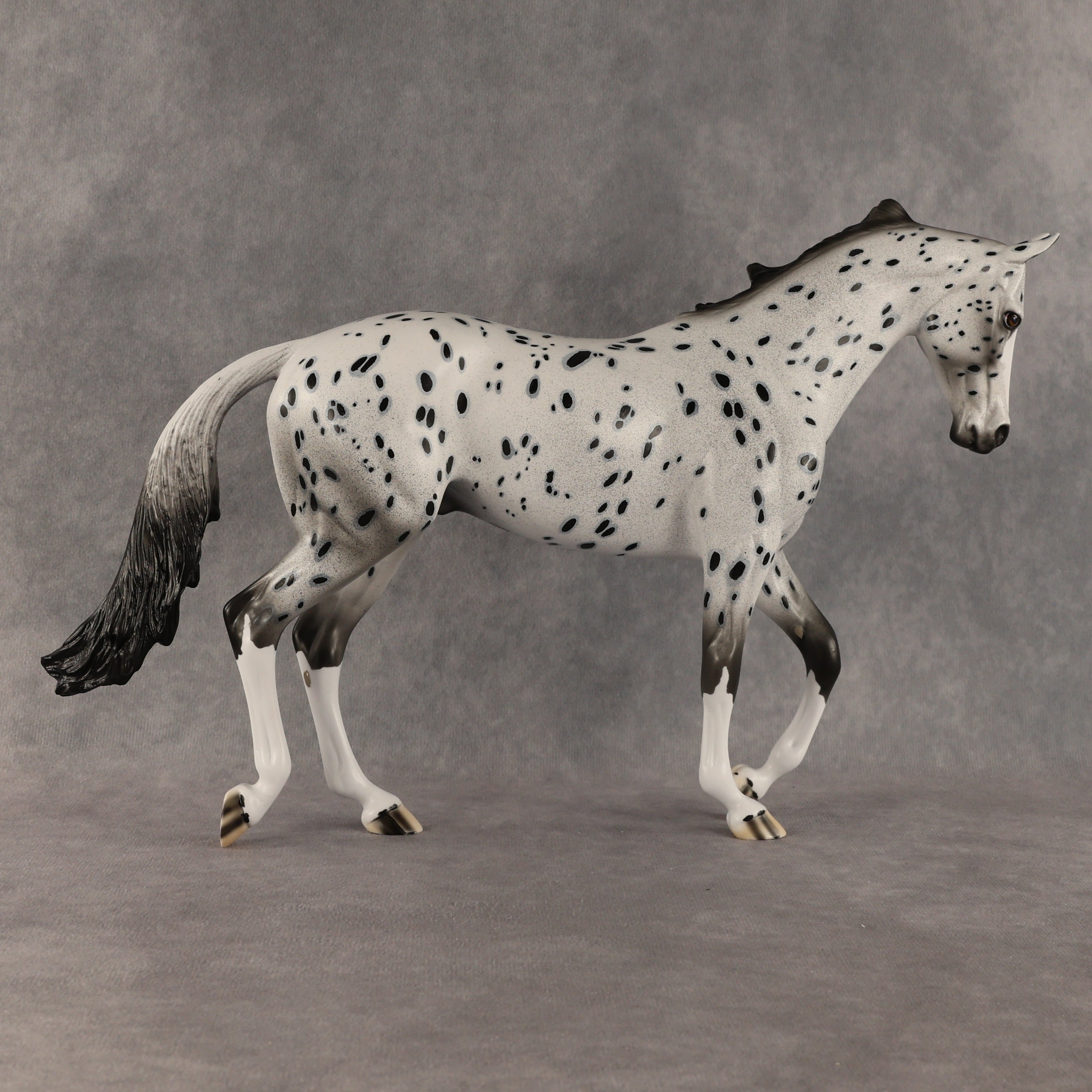 Paladin OOAK Thoroughbred by Dawn Quick SHCF26