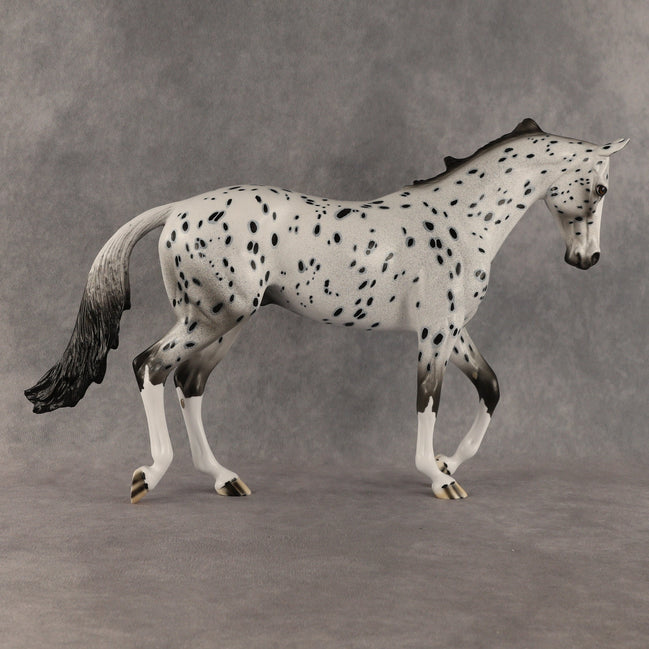 Paladin OOAK Thoroughbred by Dawn Quick SHCF26