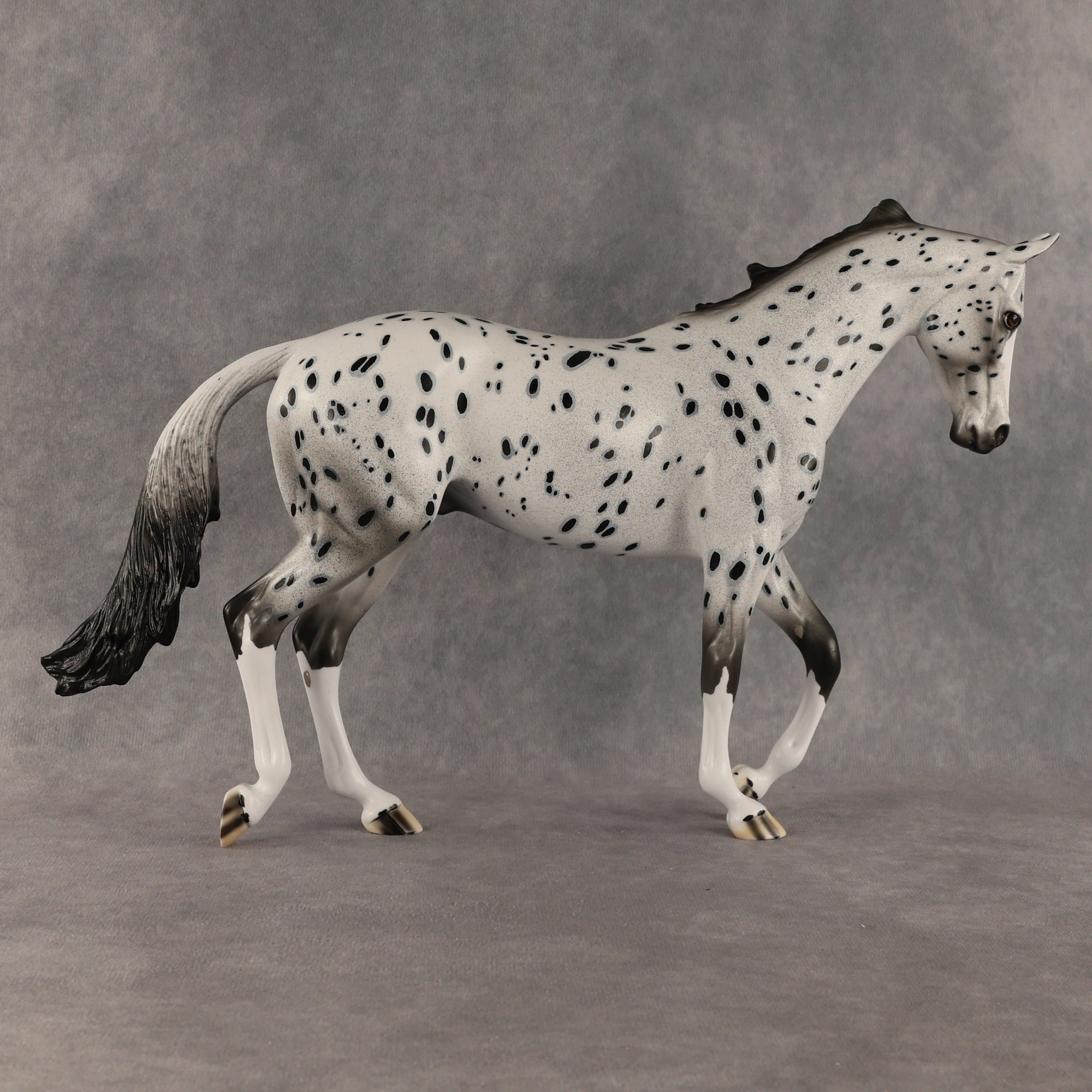 Paladin OOAK Thoroughbred by Dawn Quick SHCF26