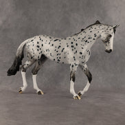 Paladin OOAK Thoroughbred by Dawn Quick SHCF26