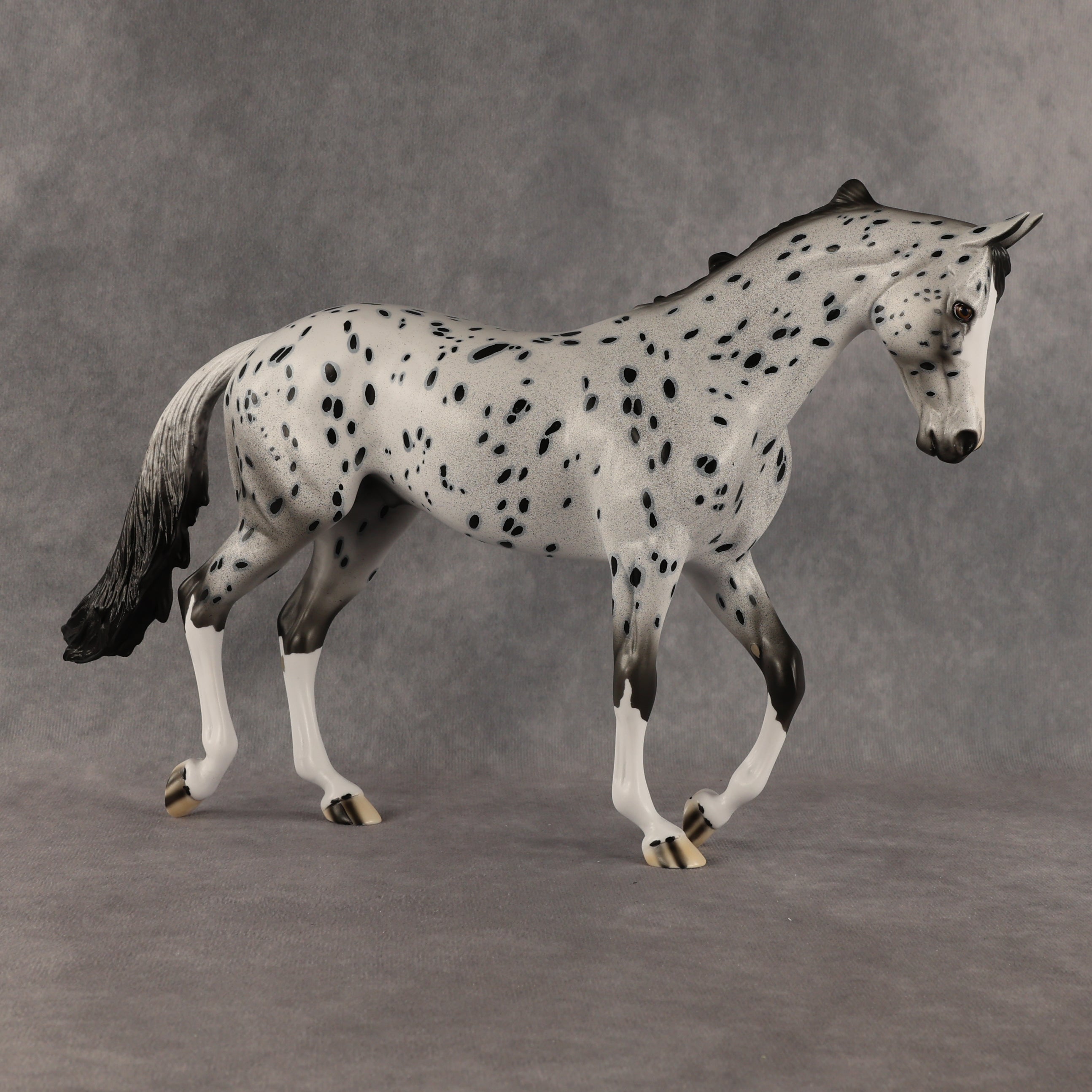Paladin OOAK Thoroughbred by Dawn Quick SHCF26