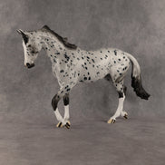 Paladin OOAK Thoroughbred by Dawn Quick SHCF26