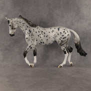 Paladin OOAK Thoroughbred by Dawn Quick SHCF26