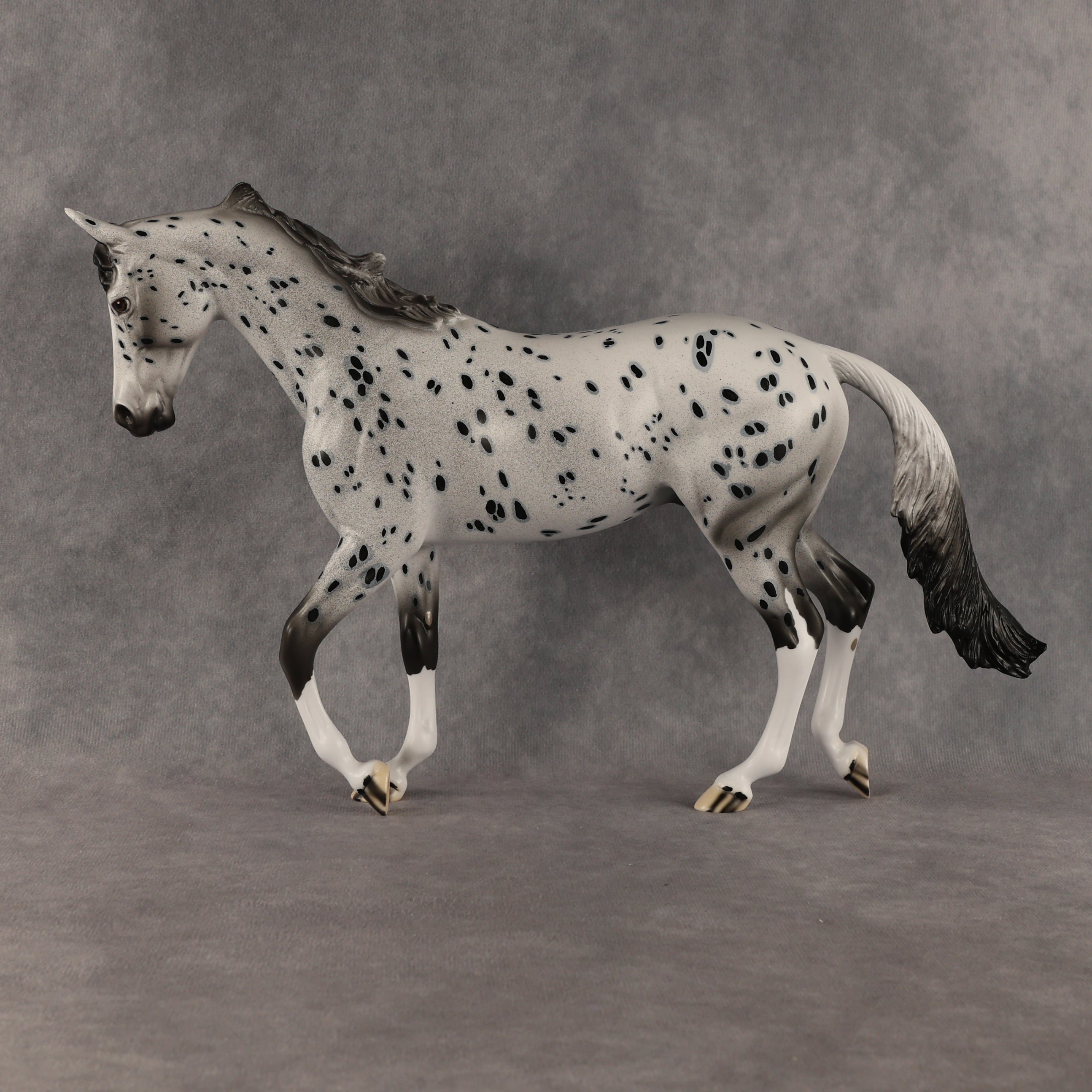 Paladin OOAK Thoroughbred by Dawn Quick SHCF26