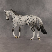 Paladin OOAK Thoroughbred by Dawn Quick SHCF26