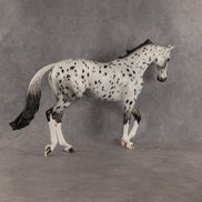 Paladin OOAK Thoroughbred by Dawn Quick SHCF26