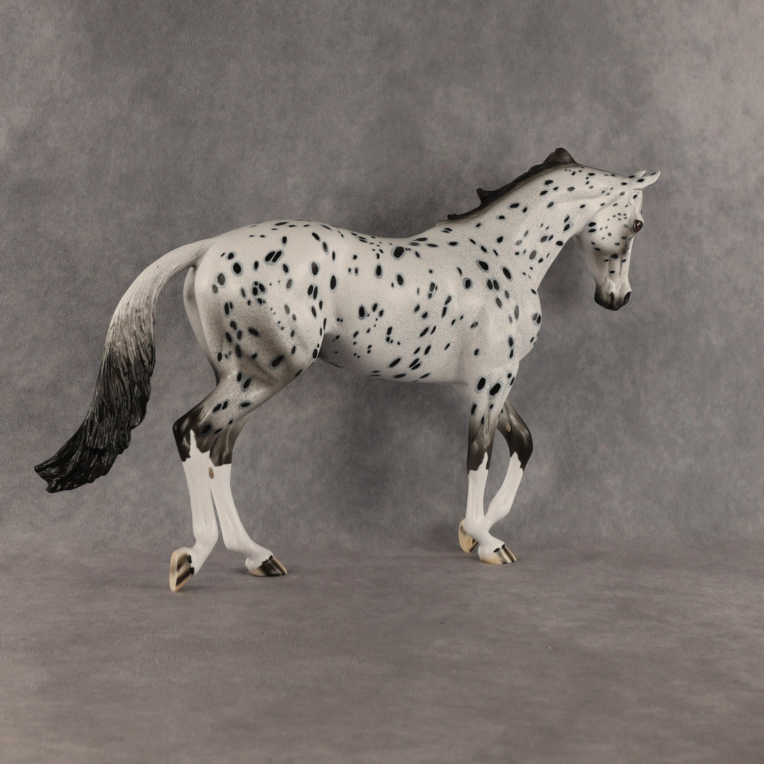 Paladin OOAK Thoroughbred by Dawn Quick SHCF26