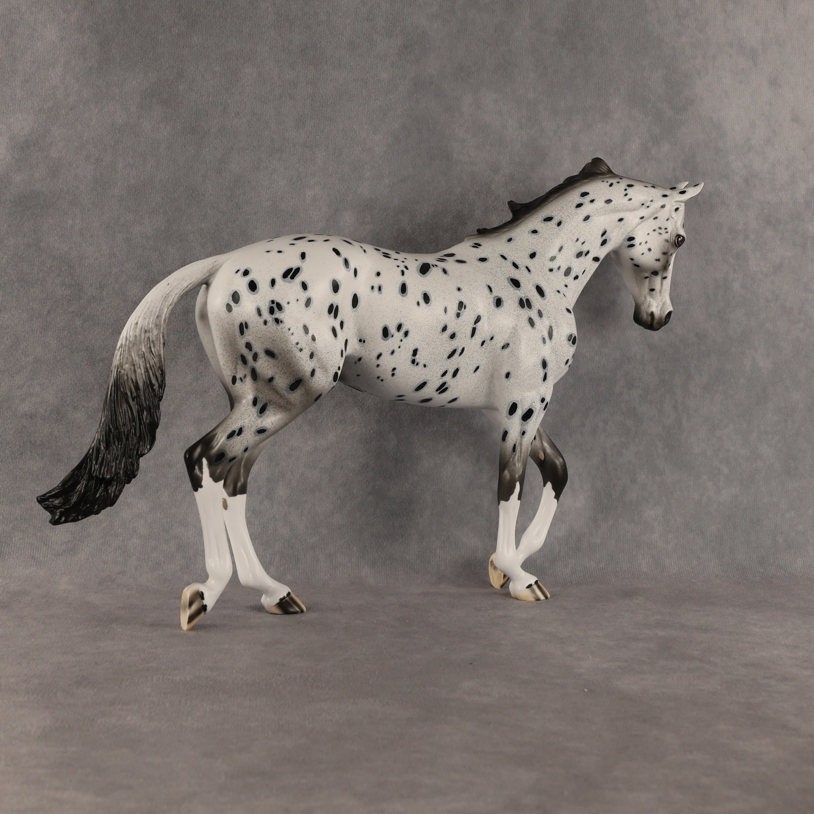 Paladin OOAK Thoroughbred by Dawn Quick SHCF26