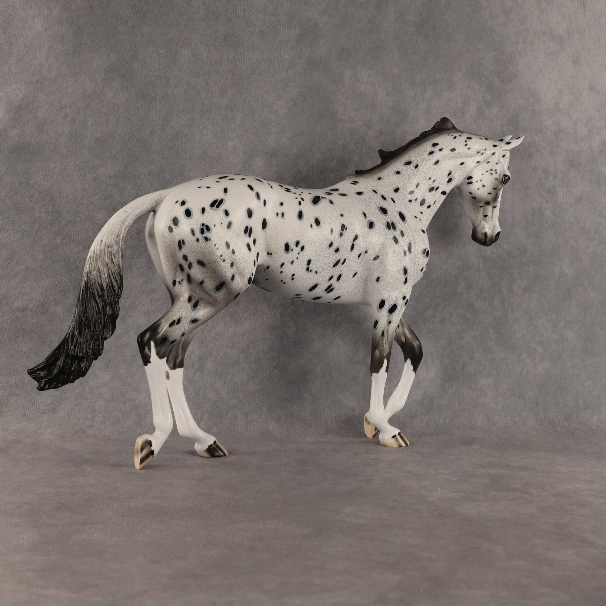 Paladin OOAK Thoroughbred by Dawn Quick SHCF26