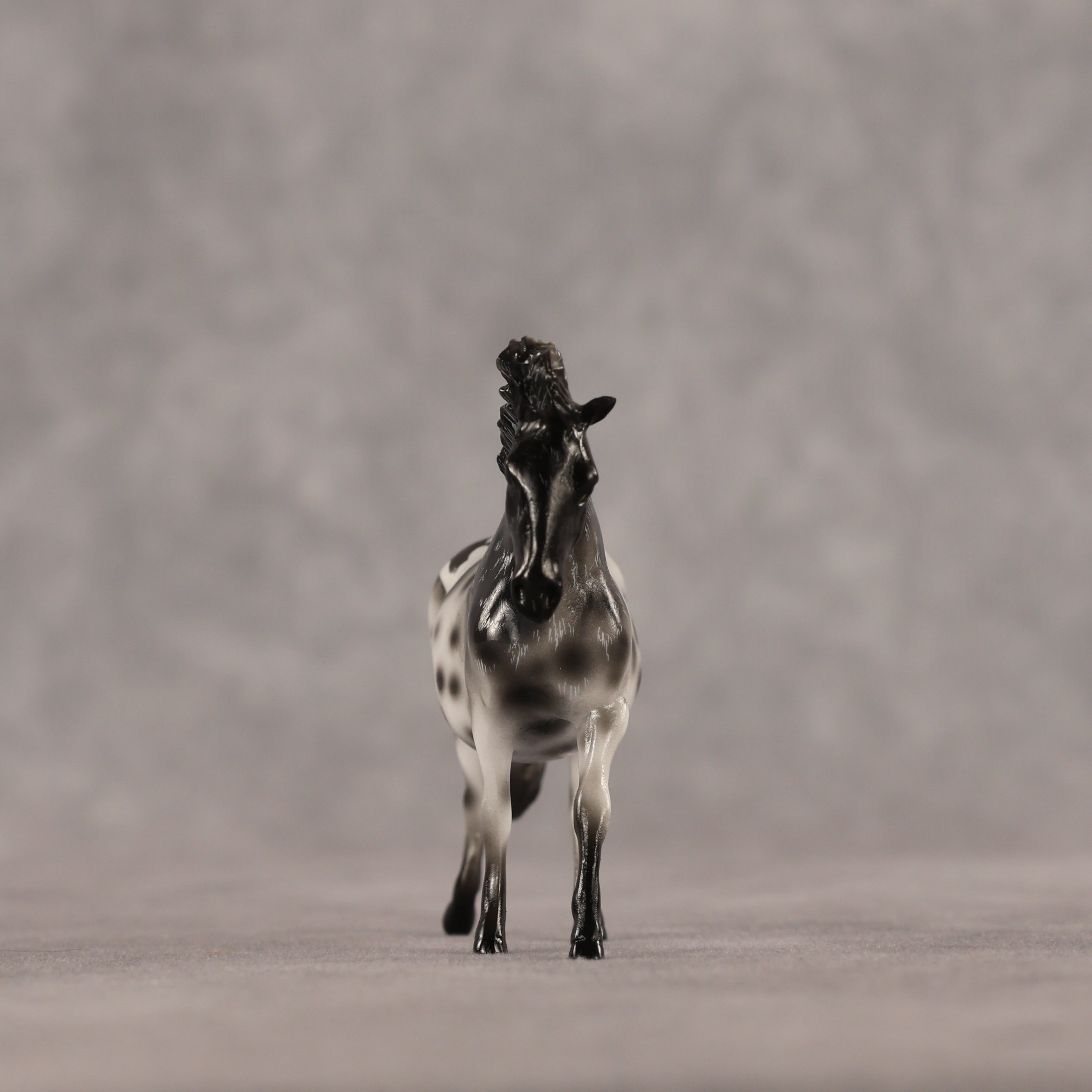 Palaeolithic OOAK EFCM Chip Pony by Kristen Cermele GS26