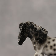 Palaeolithic OOAK EFCM Chip Pony by Kristen Cermele GS26