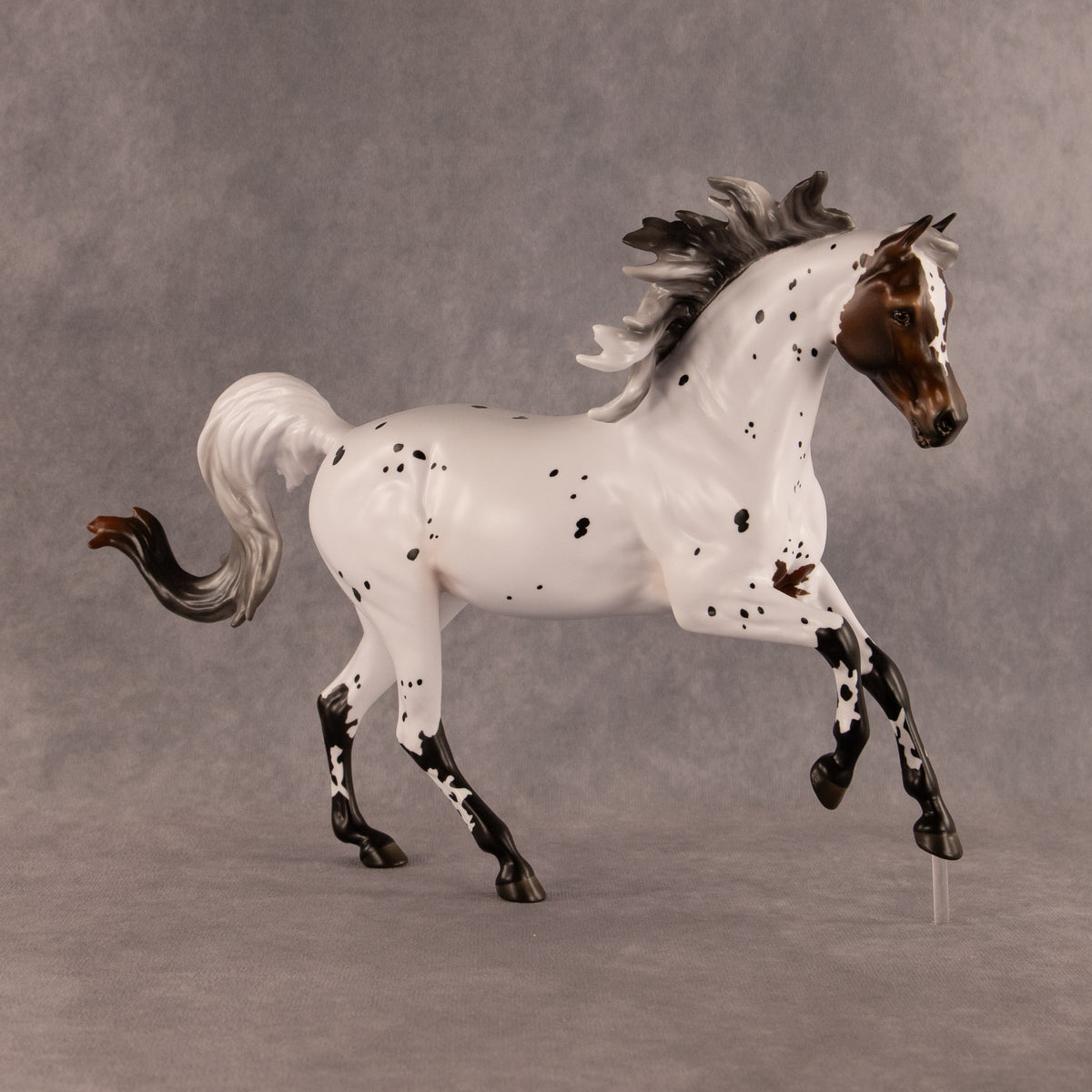 Pas de Cheval LE-6 FCM Harmony by Ashley Palmer EQ26