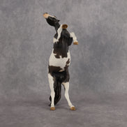 Patty Don't Start OOAK EFCM Pebble Mustang by Kristen Cermele Best Offer 9.8.2026
