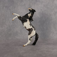 Patty Don't Start OOAK EFCM Pebble Mustang by Kristen Cermele Best Offer 9.8.2026