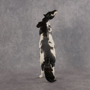 Patty Don't Start OOAK EFCM Pebble Mustang by Kristen Cermele Best Offer 9.8.2026