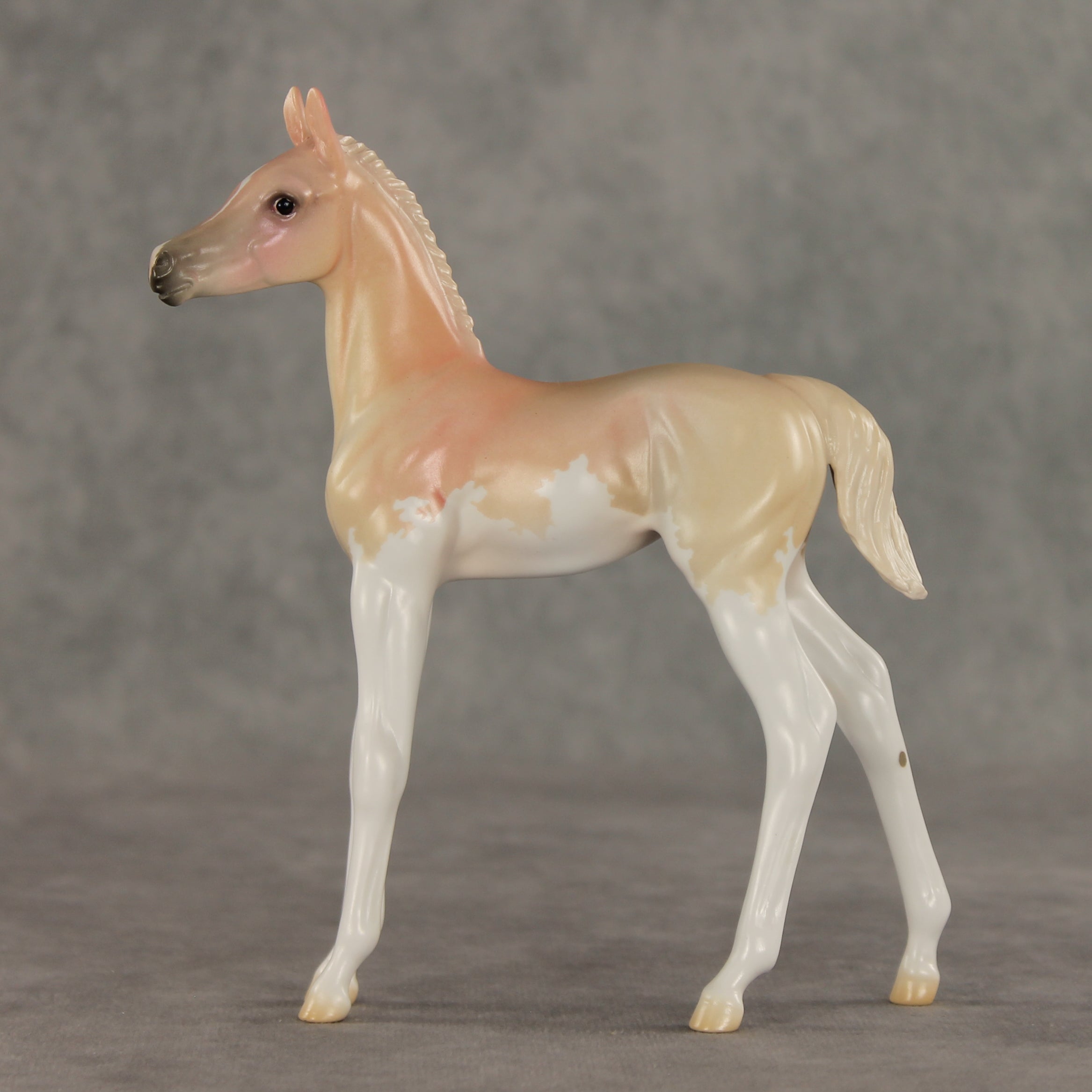 Peach Sorbet OOAK FCM Arabian Foal by Jess Hamill VV26