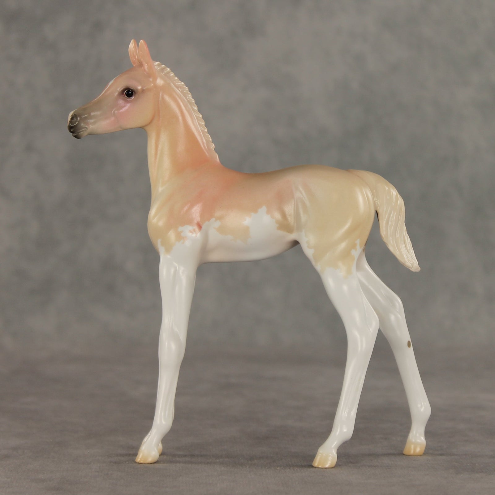 Peach Sorbet OOAK FCM Arabian Foal by Jess Hamill VV26