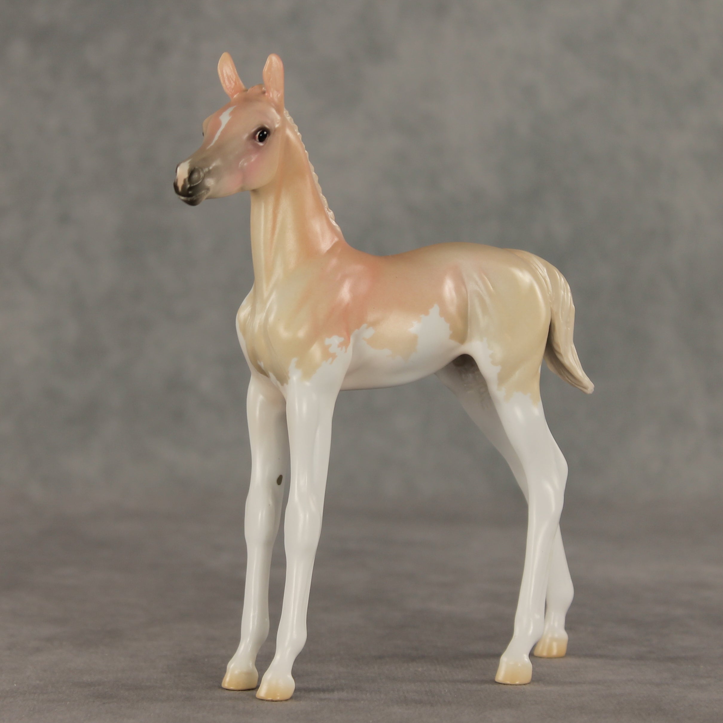 Peach Sorbet OOAK FCM Arabian Foal by Jess Hamill VV26