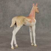 Peach Sorbet OOAK FCM Arabian Foal by Jess Hamill VV26