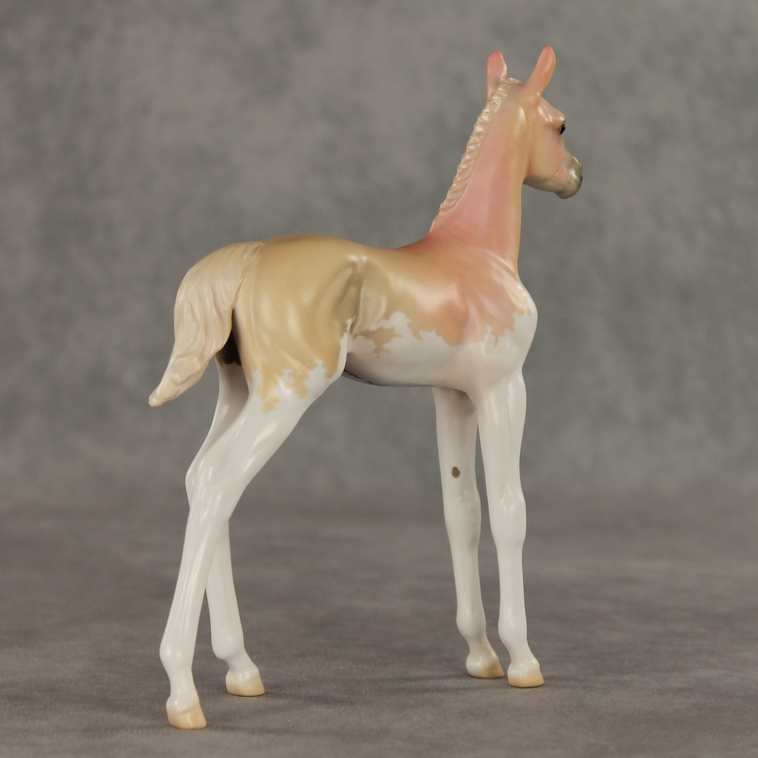 Peach Sorbet OOAK FCM Arabian Foal by Jess Hamill VV26