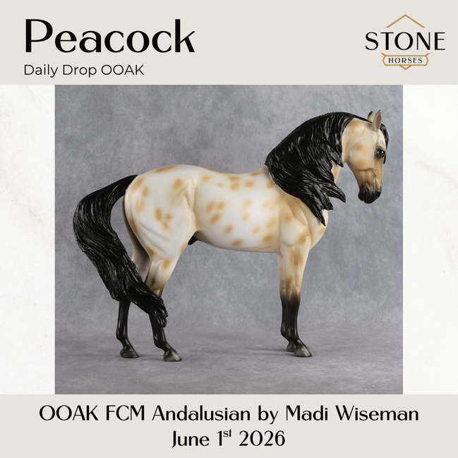 Peacock OOAK FCM Andalusian by Madi Wiseman DDOOAKs26