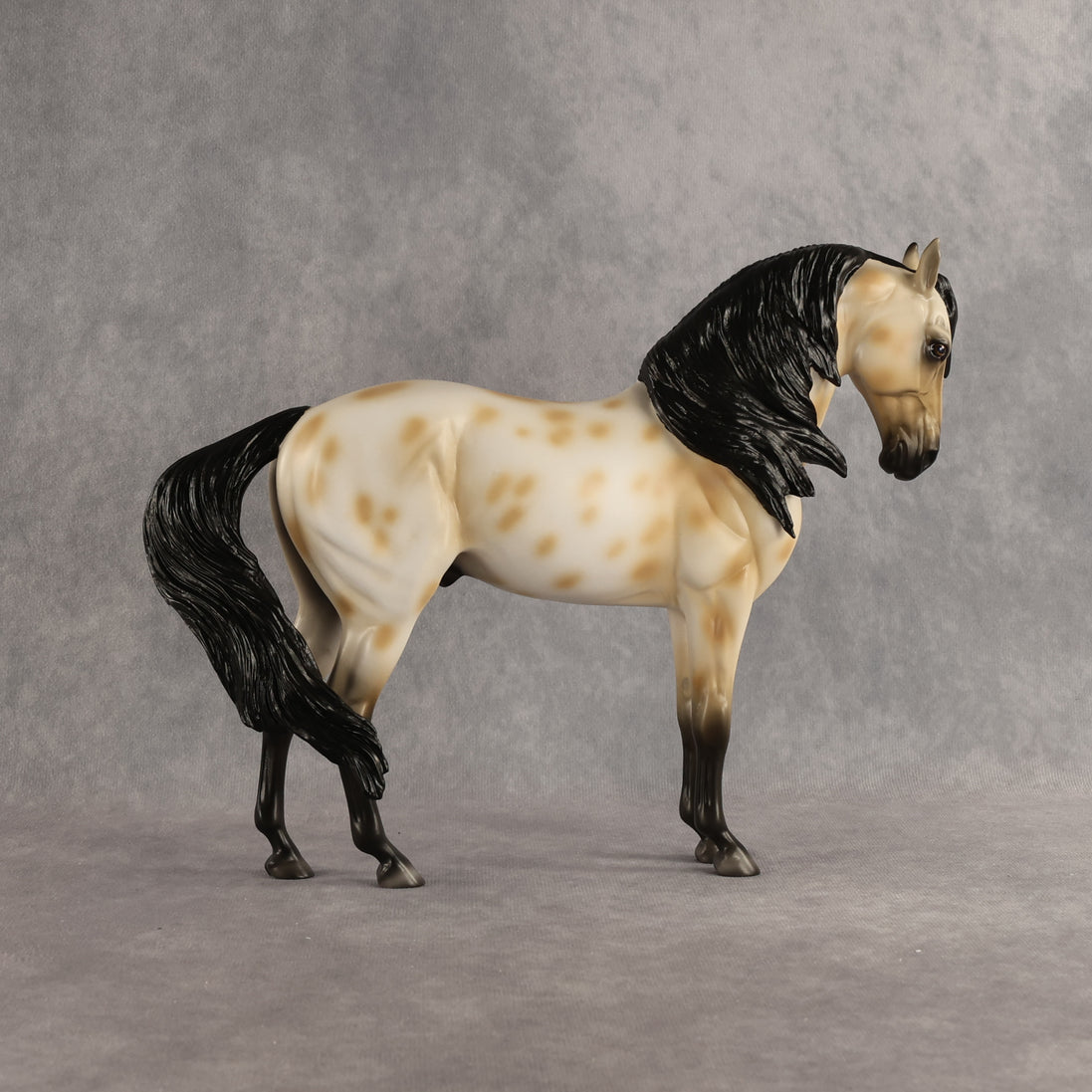 Peacock OOAK FCM Andalusian by Madi Wiseman DDOOAKs26