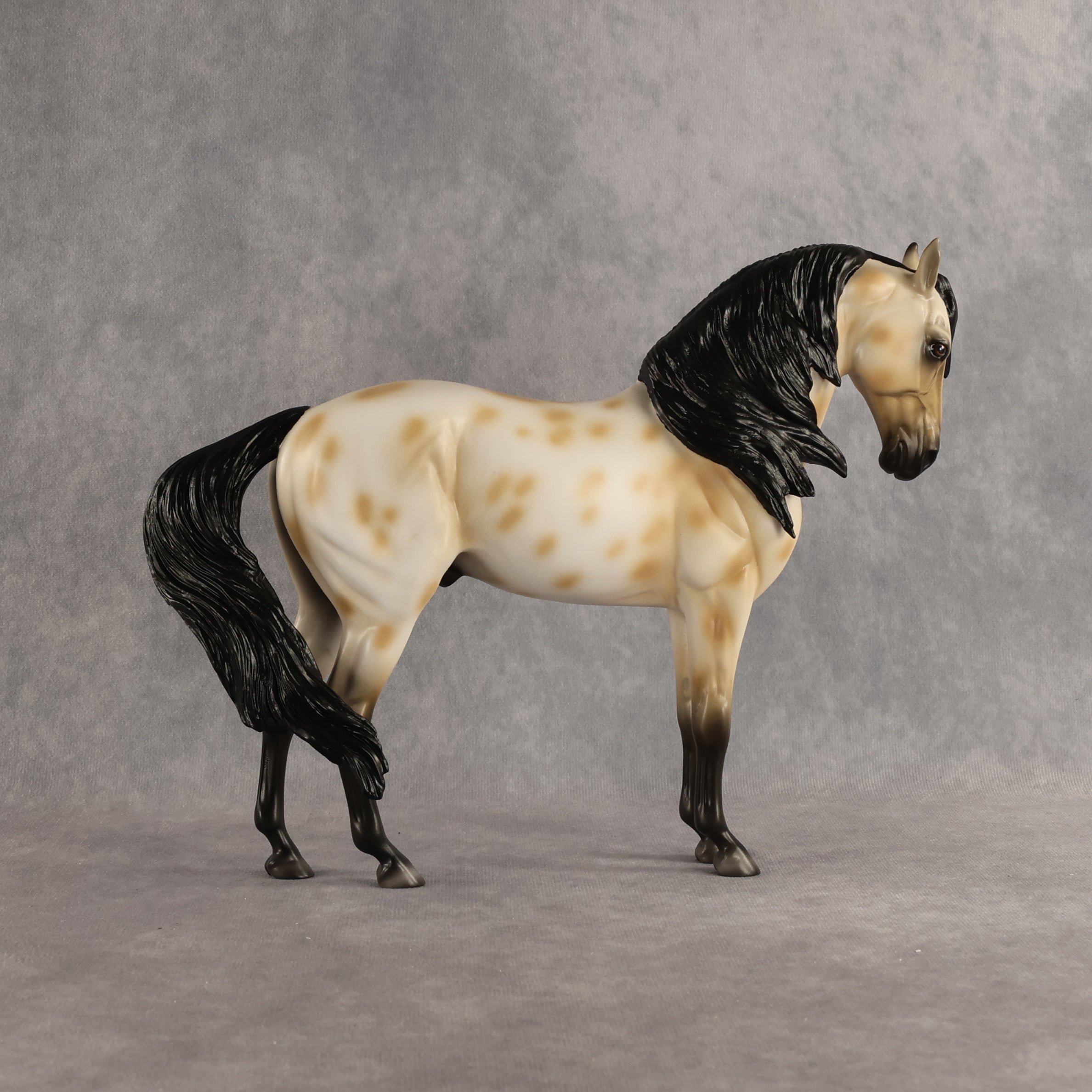 Peacock OOAK FCM Andalusian by Madi Wiseman DDOOAKs26