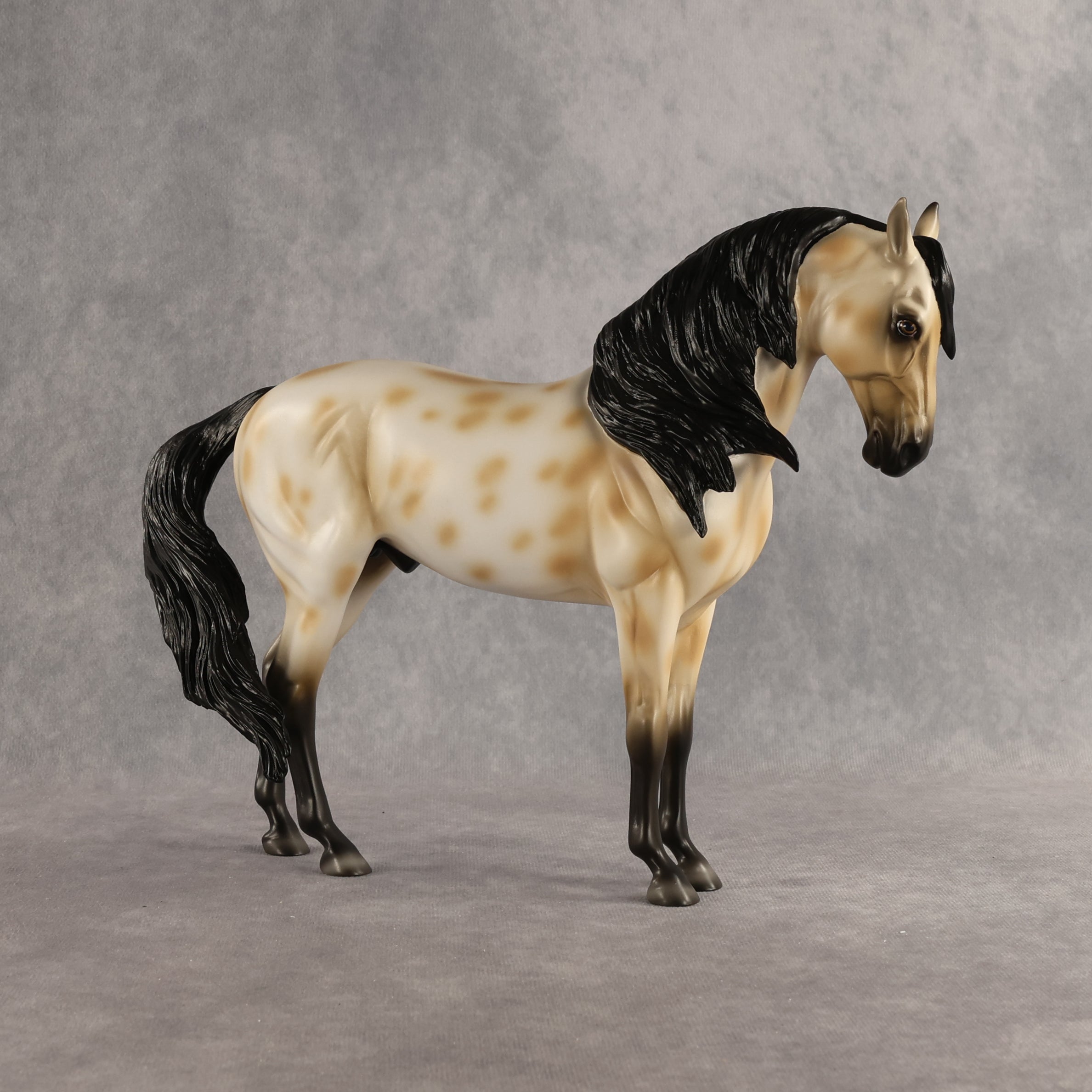 Peacock OOAK FCM Andalusian by Madi Wiseman DDOOAKs26