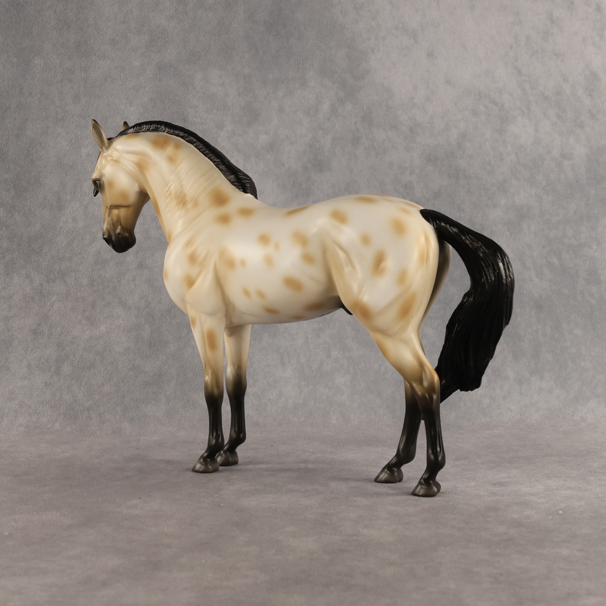 Peacock OOAK FCM Andalusian by Madi Wiseman DDOOAKs26