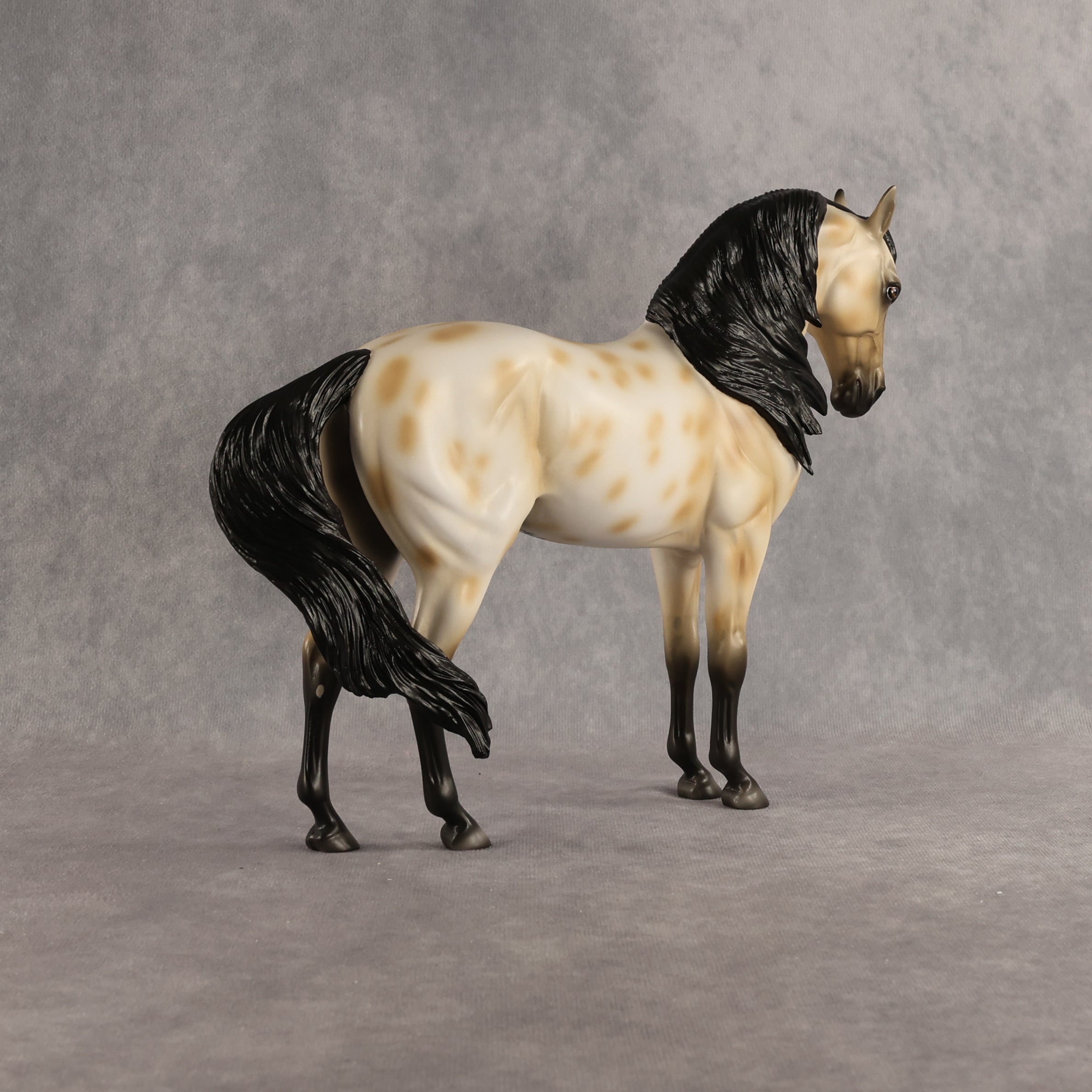 Peacock OOAK FCM Andalusian by Madi Wiseman DDOOAKs26