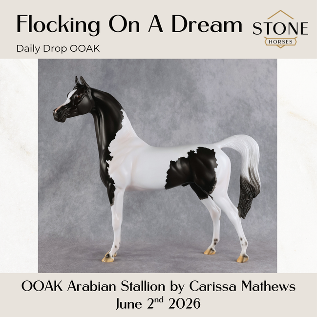 Flocking On A Dream OOAK Arabian Stallion by Carissa Mathews DDOOAKs26