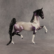 Pearlescent Blitz OOAK Saddlebred by Alex Fortman SHCF26