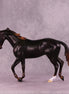 Pearls of Wisdom OOAK Thoroughbred by Jess Hamill MM25 Group B