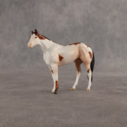 Penny & Copper OOAK Chip FCM Stock Horse & Chip Foal by Anna Rieck SCD26