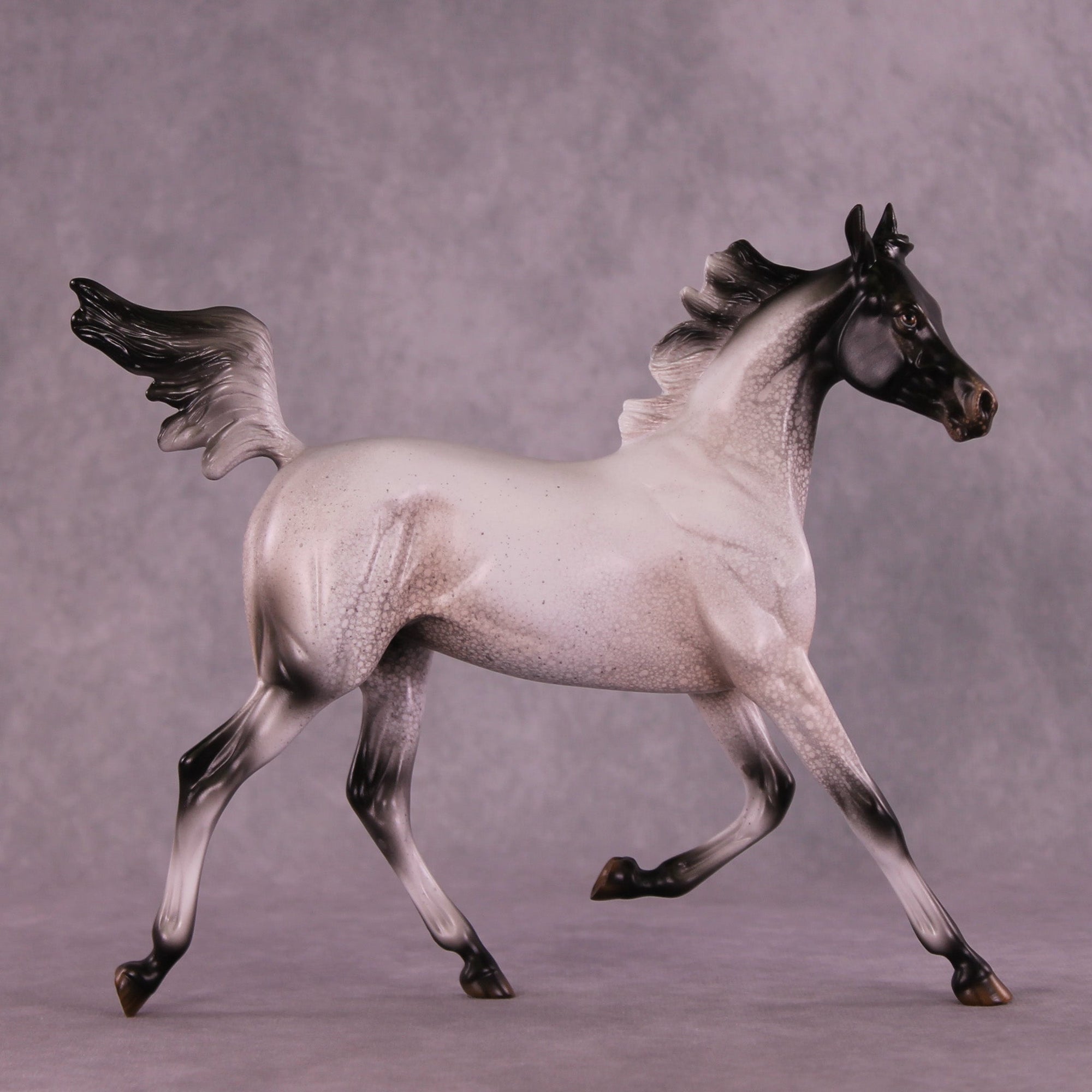 Pepper Stepper OOAK Arabian Yearling by Jess Hamill MM25 Group B
