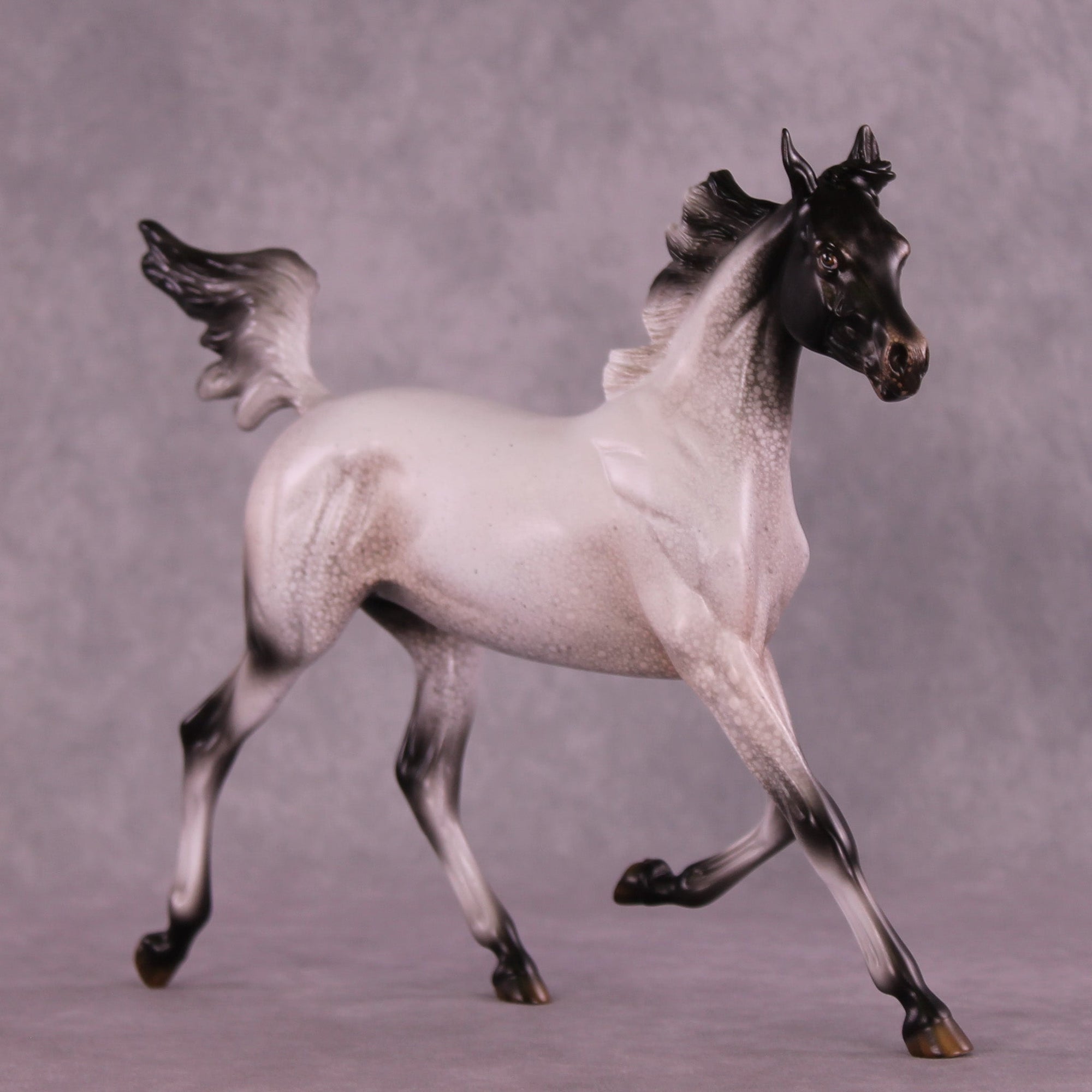 Pepper Stepper OOAK Arabian Yearling by Jess Hamill MM25 Group B