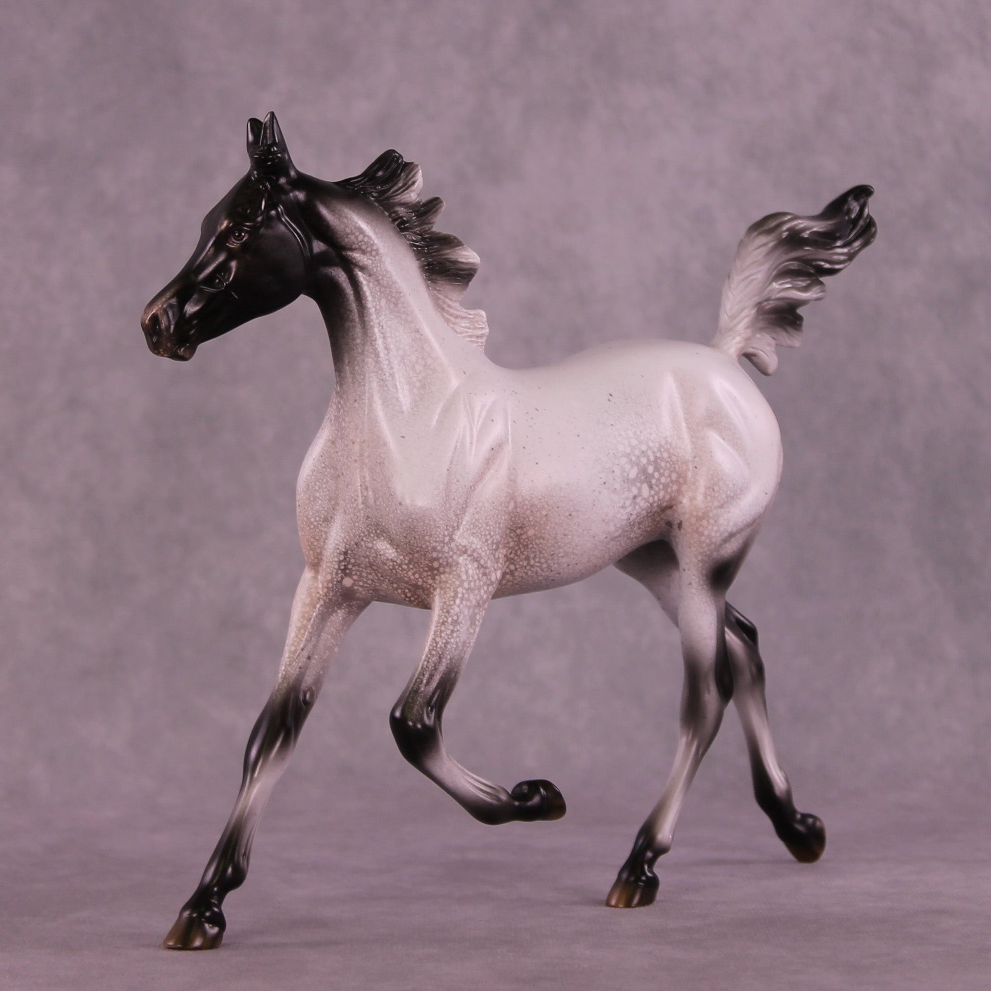 Pepper Stepper OOAK Arabian Yearling by Jess Hamill MM25 Group B