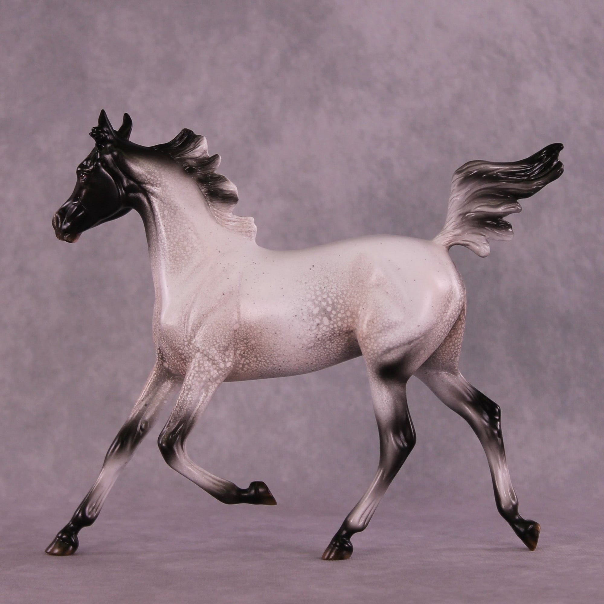 Pepper Stepper OOAK Arabian Yearling by Jess Hamill MM25 Group B